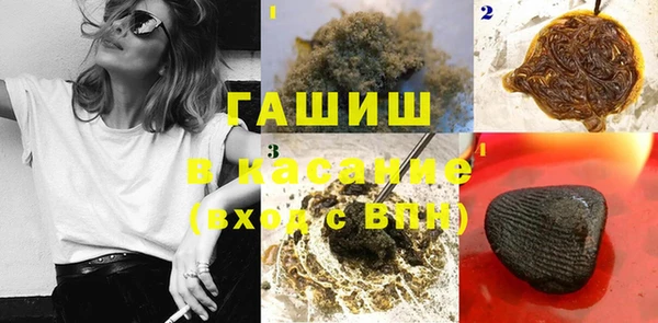 стафф Алексин
