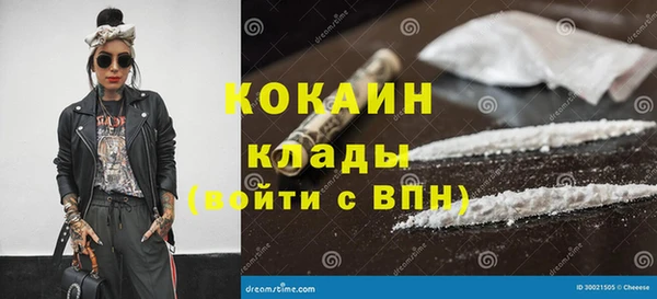 стафф Алексин