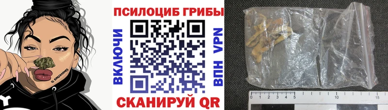 Галлюциногенные грибы прущие грибы  цены   Бакал 